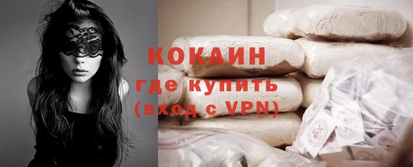 твердый Богданович