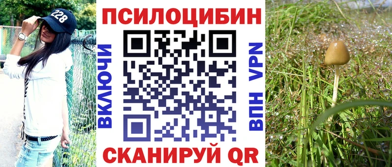 Псилоцибиновые грибы Psilocybine cubensis  закладки  Костомукша 