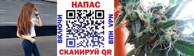мега онион  Костомукша  Марихуана Amnesia 